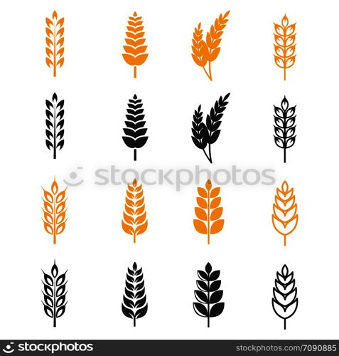 Black and yellow wheat ears silhouettes vector icons. Illustration of harvest grain of collection. Black and yellow wheat ears silhouettes vector icons