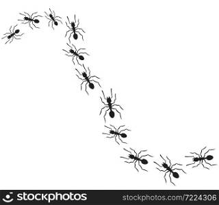 Black ants vector