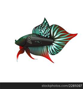 Black betta fish, Siamese fighter fish of Thailand, colorful multicolored design in simple. Illustration isolated on white background, for art design, betta logo. and print design