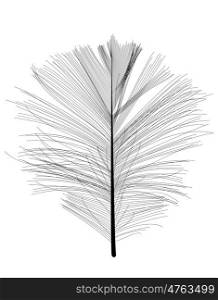 Black Bird Feather Drawn in Vector Illustration. EPS10. Black Bird Feather Drawn in Vector Illustration.