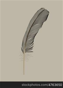 Black Bird Feather Drawn in Vector Illustration. EPS10. Black Bird Feather Drawn in Vector Illustration.