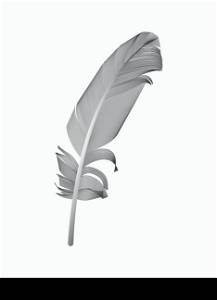 Black Bird Feather Drawn in White Background. Vector Illustration. EPS10. Black Bird Feather Drawn in White Background. Vector Illustratio