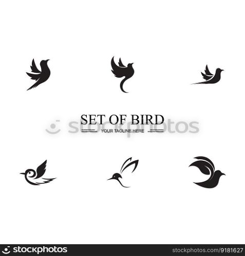 black Bird set logo and symbol illustration design