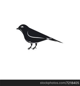 black canary bird icon vector illustration concept design template