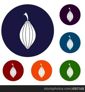 Black cardamom pod icons set in flat circle red, blue and green color for web. Black cardamom pod icons set
