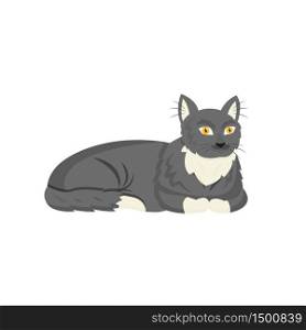 Black cat flat color vector character. Domestic animal lie. Pet sitting and daycare. Grooming for kitten. Tuxedo cat isolated cartoon illustration for web graphic design and animation. Black cat flat color vector character