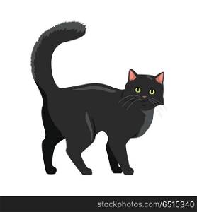 Black cat Vector Flat Design Illustration. Cute black cat walking with raised tail flat vector illustration isolated on white background. Purebred pet. Domestic friend and companion animal. For pet shop ad, animalistic hobby concept, breeding. Black cat Vector Flat Design Illustration