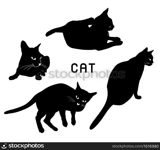 black cats. Vector illustration isolated on white background.