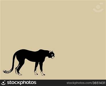 black cheeta on brown background, vector illustration