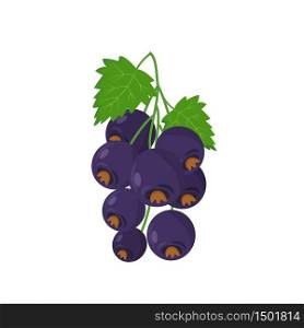 Black currant cartoon vector illustration. Ripe juicy fruit flat color object. Source of vitamins and antioxidants. Wholesome nutrition. Sweet healthy berries bunch isolated on white background. Black currant cartoon vector illustration