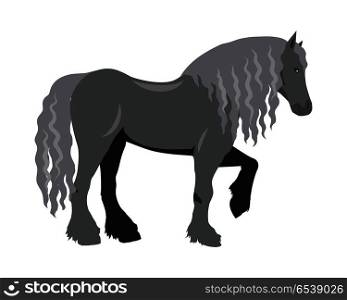 Black draft horse with curly mane vector. Flat design. Domestic animal. Country inhabitants concept. For farming, animal husbandry, horse sport illustrating. Agricultural species. Isolated on white. Draft Horse Vector Illustration in Flat Design. Draft Horse Vector Illustration in Flat Design