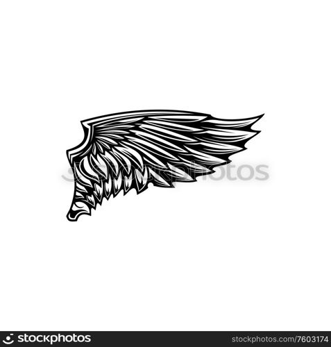 Black feathered tribal wing isolated icon. Vector eagle or falcon body part, religion or heraldic symbol. Wing of eagle or falcon, heraldry symbol