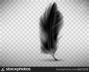 Black fluffy feather with shadow vector realistic illustration, isolated on transparent background. Feather from wing of bird or fallen angel, symbol of softness, design element. Black fluffy feather with shadow realistic