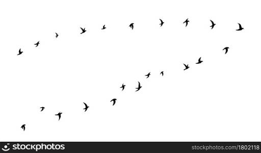 Black flying birds flock silhouette. School of birds flying to the right. Flat vector illustration isolated on white background.. Black flying birds flock silhouette. Flat vector illustration isolated on white