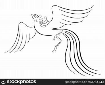 Black graceful Firebird contour isolated over white. Hand drawing vector illustration. Black graceful Firebird contour