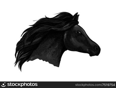 Black graceful horse portrait. Dark raven mustang with wavy mane strands running against wind with waving mane and shining eyes. Black graceful horse portrait