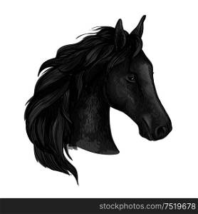 Black graceful horse portrait. Raven mustang with wavy mane strands and half turned head. Black graceful horse portrait