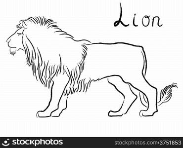 Black graceful Lion contour isolated over white. Hand drawing vector illustration. Black graceful Lion contour