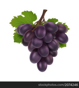 Black grape. 3d bunch of grapes, realistic fruit with leaves. Isolated winery raw, fresh juicy natural food vector element. Illustration grape vine, ripe fruit grapevine. Black grape. 3d bunch of grapes, realistic fruit with leaves. Isolated winery raw, fresh juicy natural food vector element