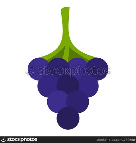 Black grape icon flat isolated on white background vector illustration. Black grape icon isolated