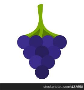 Black grape icon flat isolated on white background vector illustration. Black grape icon isolated