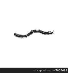 Black hairy earthworm isolated urticating worm. Vector dark caterpillar with tentacles. Crawling black worm isolated hairy earthworm