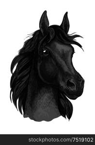 Black horse portrait with shiny dark eyes. Beautiful mustang with thick mane waving in wind. Black horse portrait with shiny dark eyes