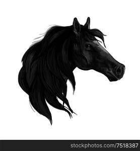 Black horse sketch of purebred arabian mare with silky mane. Equestrian sport, horse racing or t-shirt print design. Black horse sketch of arabian mare