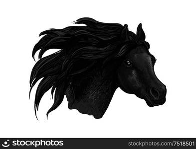 Black horse sketch portrait. Isolated head of running mustang head on white background. Black mustang horse sketch portrait