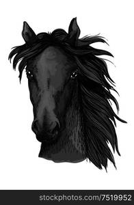 Black horse sketch. Purebred arabian stallion horse head for equestrian sporting competition badge or horse racing mascot design. Black arabian horse head sketch