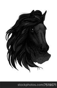 Black horse with passionate glance portrait. Beautiful mustang with wavy mane and bent head. Black horse with passionate glance portrait