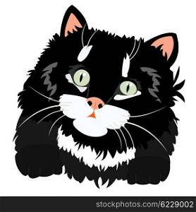 Black kitty on white background