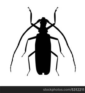 Black Large Beetle Silhouette Vector Illustration EPS10. Large Beetle Silhouette Vector Illustration