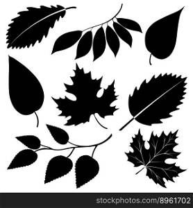 Black leaves silhouettes isolated on white vector image