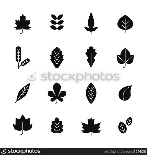Black leaves. Vector symbols of autumn plants. Illustration of leaf autumn collection. Black leaves. Vector symbols of autumn plants