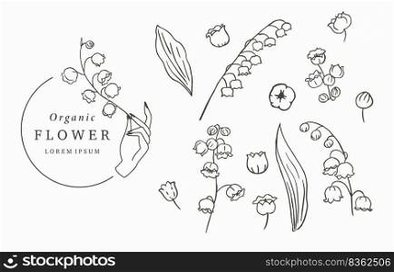 Black line flower collection with lily of the vallay on white background