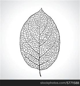 Black macro leaf natural isolated. Vector illustration.. Black macro leaf natural isolated. Vector illustration