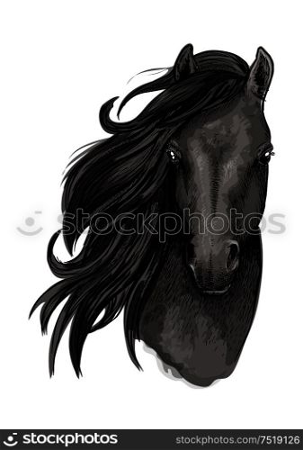 Black mare horse symbol of sketched racehorse head with long mane swept to one side. Equestrian sporting club, horse racing or t-shirt print design. Black mare horse head sketch