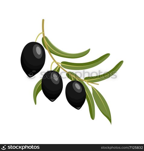 Black olives branch. vector illustration