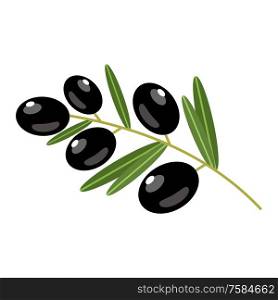 Black olives on a white background. Vector illustration