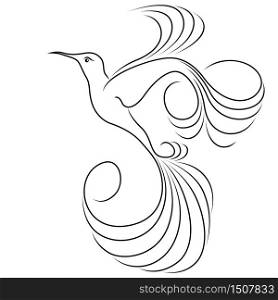 Black outline of abstract flying hummingbird isolated on the white background