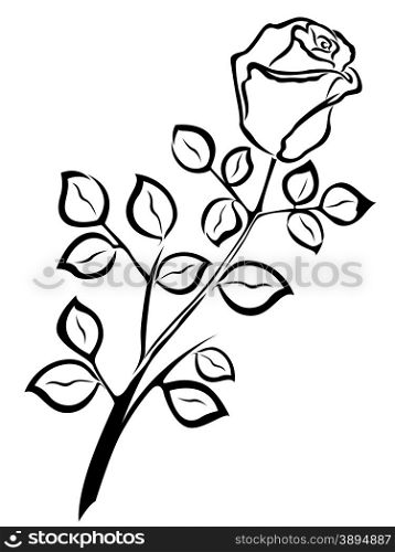 Black outline of single rose flower isolated on a white background, vector illustration