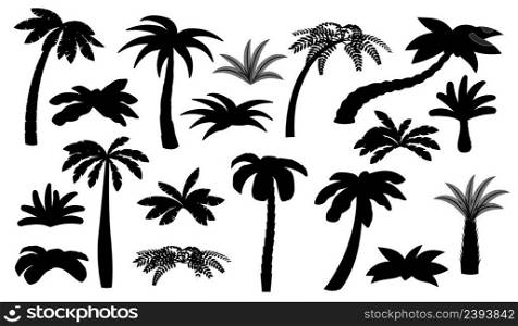 Black palm tree silhouettes. Isolated palms, coconut trees. Beach bush, tropical exotic forest elements. Summer ocean travel landscape recent vector set. Illustration of tree design natural silhouette. Black palm tree silhouettes. Isolated palms, coconut trees. Beach bush, tropical exotic forest elements. Summer ocean travel landscape recent vector set