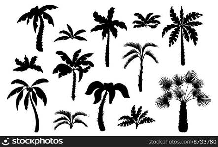 Black palm tree silhouettes. Miami hawaii tropical palms, isolated exotic forest icons. Leaves and foliage, summer beach neat plants vector set. Hawaii miami foliage, summer tree exotic illustration. Black palm tree silhouettes. Miami hawaii tropical palms, isolated exotic forest icons. Leaves and foliage, summer beach neat plants vector set