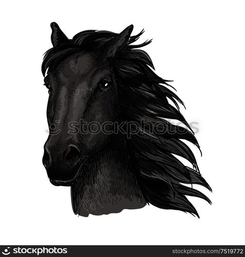 Black proud horse portrait. Dark raven mustang with wavy mane strands runs against wind with waving mane and shining eyes. Black proud running horse portrait