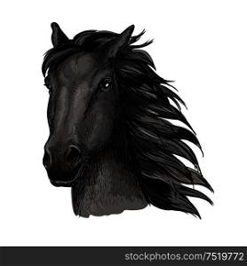 Black proud horse portrait. Dark raven mustang with wavy mane strands runs against wind with waving mane and shining eyes. Black proud running horse portrait