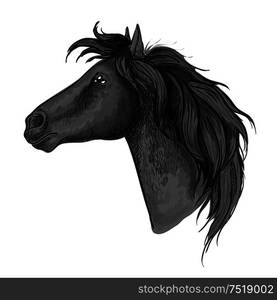 Black proud horse stallion profile portrait. Mustang head and neck with wavy mane and straight look. Black horse head sketch portrait