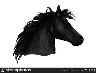 Black racehorse sketch with horse head of purebred arabian stallion. Horse racing badge, equestrian sport and horse breeding farm symbol design. Black racehorse sketch with horse head