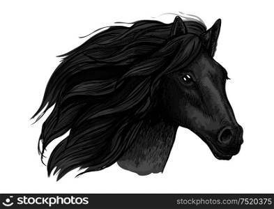 Black raven stallion running against wind. Sketched vector portrait of horse head with proud look and waving mane hairs. Black raven stallion running against wind