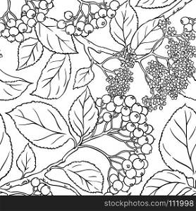 black rowan seamless pattern. black rowan seamless pattern on white background
